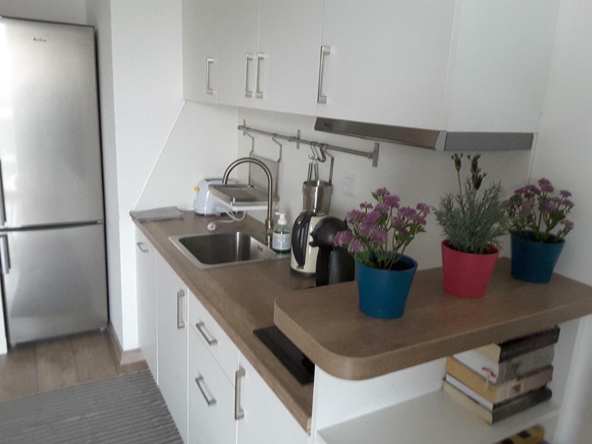 White Swan Apartment Cracovie Extérieur photo